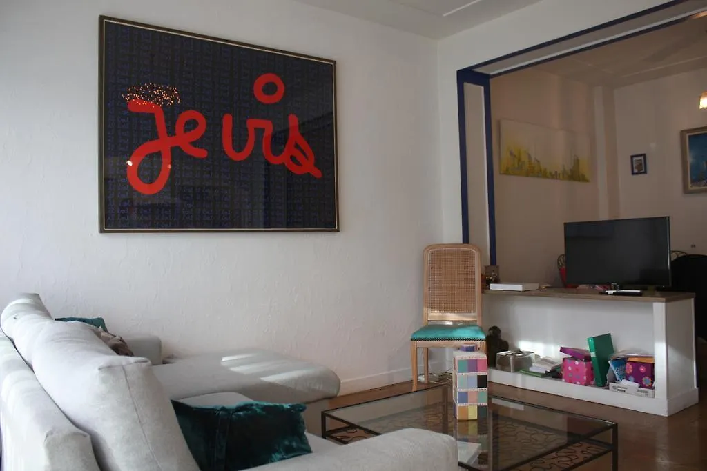 Le Grand Sud Apartment Nice France